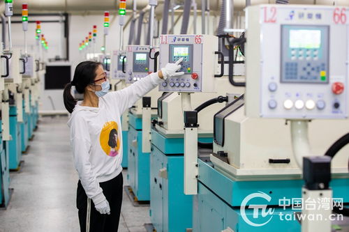 聚力轉型強動能 江蘇泰州臺資企業拓展提質邁出新步伐